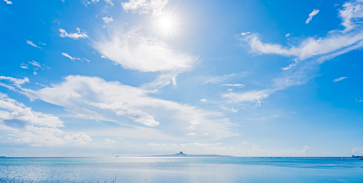 美ら海水族館の画像