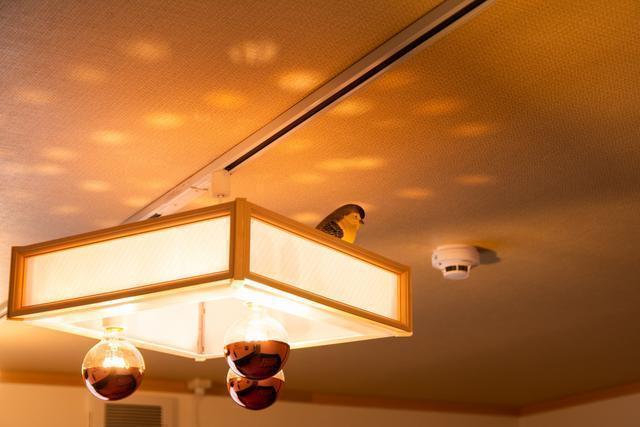 ハンドメイドの流木や織機の一部を使ったユニークな灯具がお客様をお迎えします。Unique drift wood hand made lighting and old weaving machine remake lighting welcome you to our guest house!!