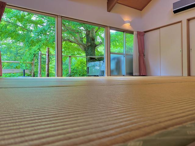 リビング横の広間２ 窓の外には大きなイチョウの木 春は新緑を感じられ、秋には美しい紅葉が眺られる