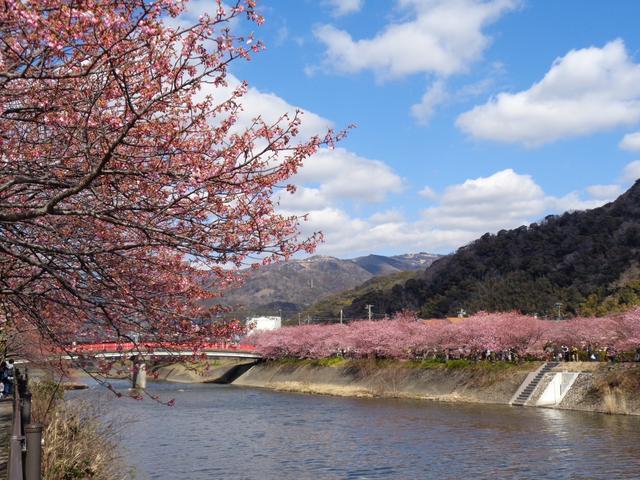 河津駅～徒歩5分・近隣にはスーパーマーケットorドラックストアーやコンビニ・飲食店も有り非常に利便性が良いです。