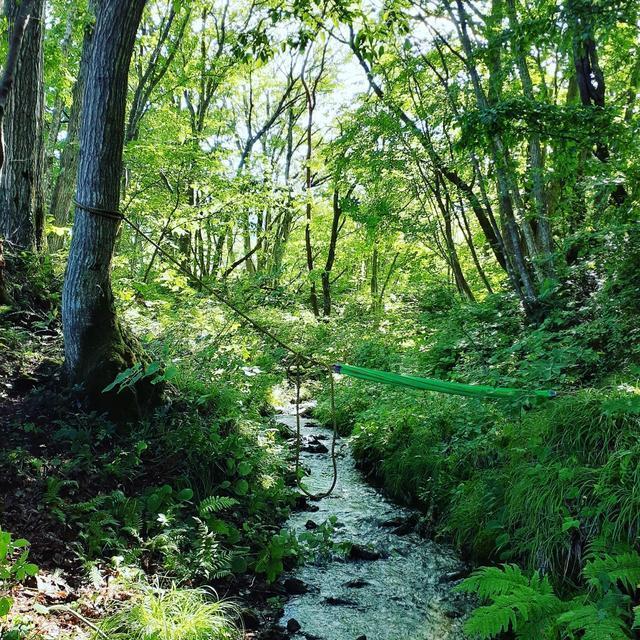 綺麗な小川が流れています。