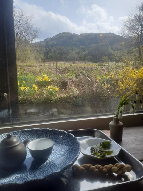 お山を見ながらお茶。