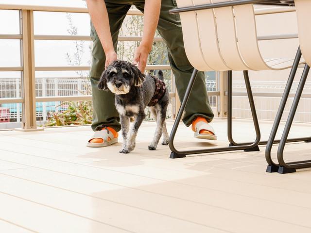 ・【ペット】当施設はワンちゃん(小型犬、中型犬まで)大歓迎の貸別荘です