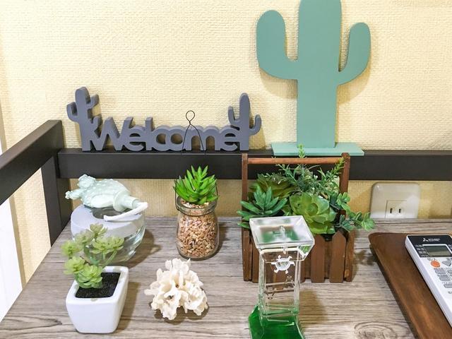 ・サボテンのお部屋：サボテンがお部屋のアクセントになっています